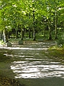 Dublino e Galway_019